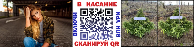 Купить наркотик аптеки Ермолино Марихуана  МЕФ  СОЛЬ  Гашиш  COCAIN 