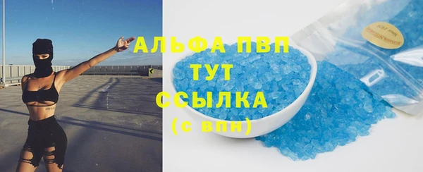 прущие грибы Бабаево