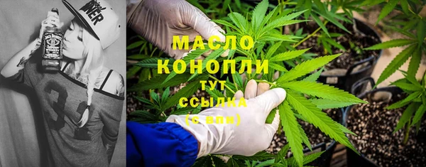 гашик Бежецк