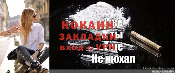 гашик Бежецк