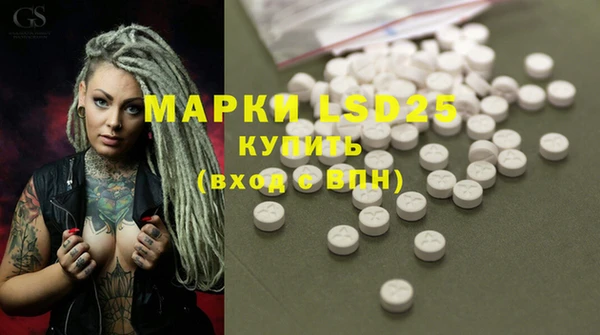 индика Аша