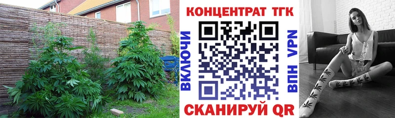 Дистиллят ТГК Wax  Ермолино 